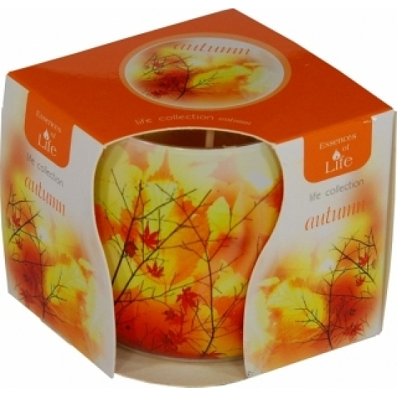 Essenzen des Lebens Herbstaromatische Kerze in Glas 100 g