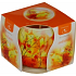 Essenzen des Lebens Herbstaromatische Kerze in Glas 100 g