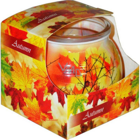Lassen Sie Herbst - Herbst dekorative aromatische Kerze im Glas 80 g