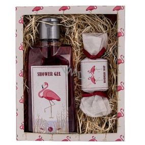 Bohemia Gifts Flamingo Grapevine Duschgel 200 ml + handgemachte Seife 30 g Kosmetikset