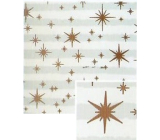 Nekupto Weihnachtsgeschenkpapier 70 x 200 cm Weiß und hellblau gestreift, kupferne Sterne