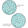 FertilCount Male Fertility Test 1 verwenden