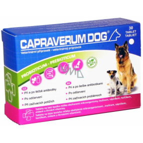 Capraverum Dog Probioticum - Veterinärpräparat Prebioticum für Hunde zur Behandlung von Antibiotika nach Entwurmung bei Verdauungsproblemen 30 Tabletten