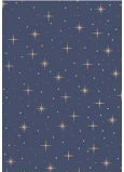 Ditipo Weihnachtsgeschenkpapier 70 x 200 cm Kraft blau, beige Sterne