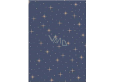 Ditipo Weihnachtsgeschenkpapier 70 x 200 cm Kraft blau, beige Sterne