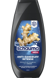 Schauma Men Anti-Schuppen Anti-Schuppen Haarshampoo für Männer 250 ml