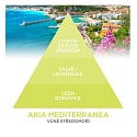 Millefiori Milano Zona Aria Mediterranea - Mediterrane Luft Diffusor 100 ml + 7 Stäbchen mit einer Länge von 25 cm für kleinere Räume hält 5-6 Wochen