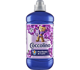 Coccolino Weichspüler Purple Orchid & Blueberries 51 Wäschen, 1275 ml