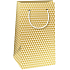 Ditipo Papier Geschenktüte QK 20 x 12 x 8 cm Gold und beige Dreiecke