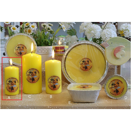 Lima Citronela Mückenschutzkerze duftend gelb Zylinder 50 x 100 mm