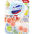 Domestos Power 5+ Kalk & Zedernholz WC Hartblock 55 g