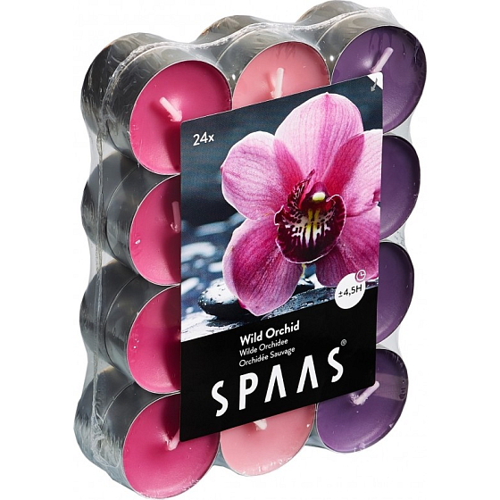 Spaas Tri Wild Orchid - Wild Orchid Duftteekerzen 24 Stück