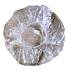 Profiline Transparente Duschhaube PE