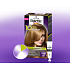 Schwarzkopf Palette 10 Minuten Haarfarbe 850 Goldblond