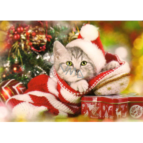 Nekupto Weihnachtspostkarte Kätzchen 15 x 11 cm