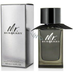 Mr. Burberry Burberry Eau de Parfum parfümiertes Wasser für Männer 100 ml