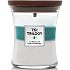 WoodWick Trilogy Icy Woodland - Ice Forest Duftkerze mit Holzdocht und Deckel Glas mittel 275 g