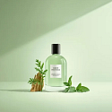 David Beckham Aromatic Greens Eau de Parfum für Männer 100 ml