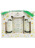 Bohemia Gifts Kamille Duschgel 100 ml + Haarshampoo 100 ml + Toilettenseife 100 ml, Kosmetikset für Frauen