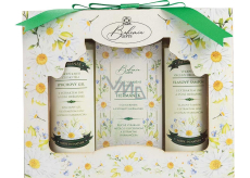 Bohemia Gifts Kamille Duschgel 100 ml + Haarshampoo 100 ml + Toilettenseife 100 ml, Kosmetikset für Frauen