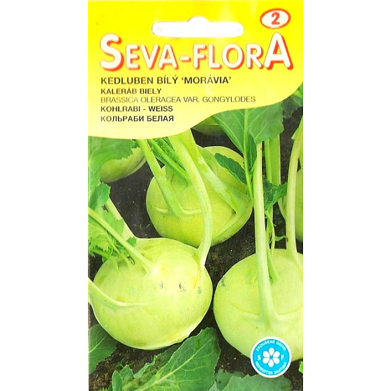 Seva - Flora Weißer Kohlrabi Mähren 0,8 g