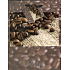 Nekupto Geschenk Papiertüte 23 x 18 x 10 cm Kaffee 1 Stück BM 527 01