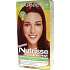 Garnier Nutrísse Créme Haarfarbe Tint 66 Grenadine