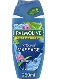 Palmolive Duschgel Wellness Massage, 250 ml