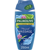 Palmolive Duschgel Wellness Massage, 250 ml