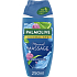 Palmolive Duschgel Wellness Massage, 250 ml