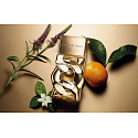 Michael Kors Pour Femme Parfüm für Frauen 100 ml