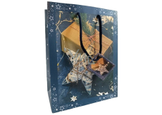 Geschenkpapiertasche Weihnachten WBM 2428 blau CZ/xSK/HU