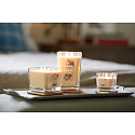 Yankee Candle Sweet Nectar Blossom - Süße Blumennektar Soja Duftkerze Elevation Kleines Glas 1 Docht 96 g