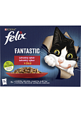 Felix Fantastic kapsičky pro kočky s Hühnchen, Rind, Kaninchen a Lamm, 12 × 85 g