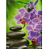Nekupto Geschenk Papiertüte 23 x 18 x 10 cm Orchidee 1020 50 KFL
