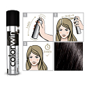 Colorwin Spray zum Abdecken von Grautönen und Trieben Schwarz 75 ml