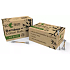 CS County Sales Bambus Eco hygienische Bambusstöcke mit Kopf aus 100% reiner Baumwolle, quadratische Schachtel 300 Stück