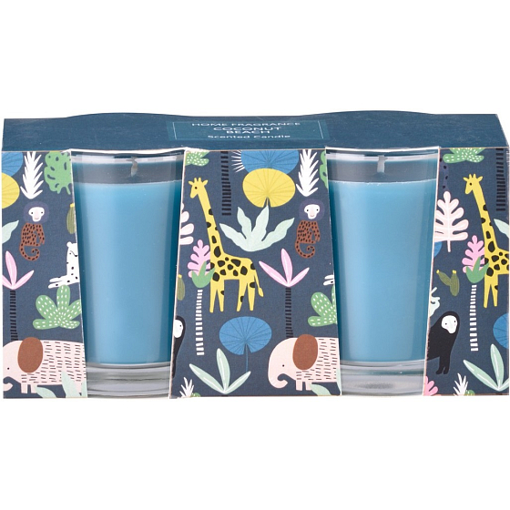 Emocio Coconut Beach - Coconut Beach Duftkerze Glas 50 x 62 mm 2 Stück im Karton