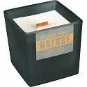 Heart & Home Nature Duftkerze Vanille und helles Holz großes Glas, Brenndauer bis zu 40 Stunden 210 g