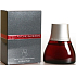 Antonio Banderas Spirit für Männer EdT 30 ml Eau de Toilette Ladies