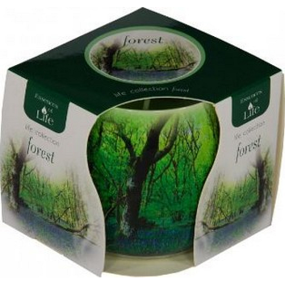 Essences of Life Forest Duftkerze im Glas 100 g