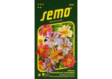Semo Dahlia Fireworks 0,3 g