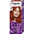 Schwarzkopf Palette Intensive Color Creme, Haarfarbe, RV6 scharlachrot, 50 ml