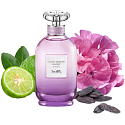 Coach Dreams Moonlight Eau de Parfum für Frauen 60 ml