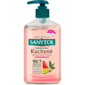Sanytol Flüssigseife Küche, 250 ml