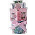 Salsa Collection Weiße Rose und Moschus Duschgel 100 ml + Körperlotion 50 ml + Badeschaum 50 ml + Badesalz 2 x 20 g, 4-teiliger Keramiktopf