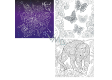 Ditipo Mystical Colouring für Erwachsene entspannendes Malbuch für Erwachsene 36 Seiten 300 x 300 mm