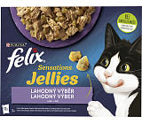 Felix Sensations Katzennahrung köstliche Auswahl in Gelee, 12× 85 g