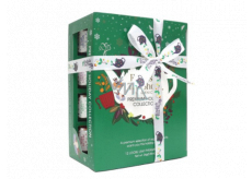 English Tea Shop Bio Green Christmas 12 Stück lose Teepyramiden, 4 Geschmacksrichtungen, 24 g Geschenkset