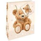 Nekupto Geschenkpapier Tasche 14 x 11 x 6,5 cm Teddybär